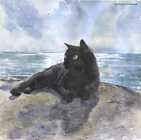 Чёрный кот у моря — картина акварелью